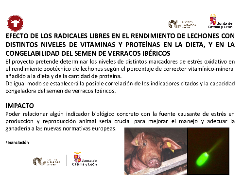 Efecto de los radicales libres en el rendimiento de lechones con distintos niveles de vitaminas y proteínas en la dieta, y en la congelabilidad del semen de verracos ibéricos (ROS)